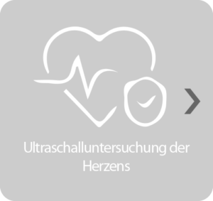 S1-2a_weiß4